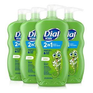 Dial Kids 2-in-1 Body and Hair Wash Melon Scent 24 fl oz Pack of 4