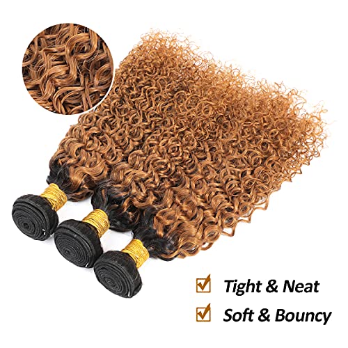 Ombre Two Tone Brazilian Kinky Curly Hair Bundles 1B/30 Virgin Curly Hair Extension 3 Bundles Kinkys Curly Human Hair Black to 30# 300 Gram (10 12 14) - Image 6