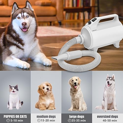 Professional 3-Speed Dog Grooming Dryer with Heater and Included Accessories - Image 6