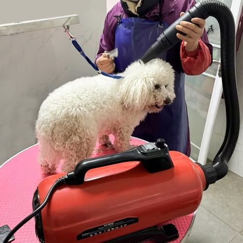 3000W Dual Motor Pet Dryer with 2 Nozzles for Fast Grooming - Image 8
