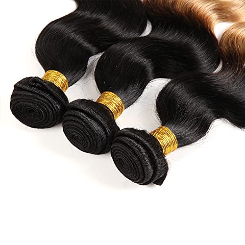 1B27 Bundles Ombre Body Wave Human Hair Bundles Brazilian Unprocessed Virgin Hair 3 Bundles 12 14 16 Inch Two Tone Black To Honey Blonde Bundles Human Hair Ombre Bundles Hair Weave - Image 4