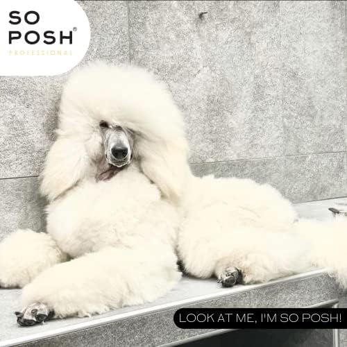 So Posh I’m So Puffy Dog Shampoo - with Keratin & Vitamins, Perfect for Poodles & Bichons, Extreme Volume for Show Days, Sulfate & Paraben Free, 1:8 Concentrate. 33.8 Oz - Image 2