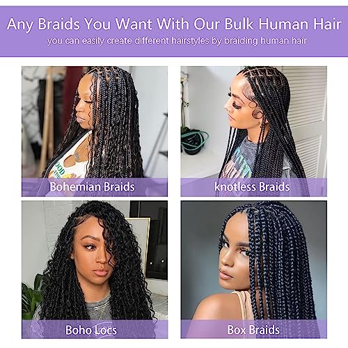 Human Braiding Hair 100g One Bundle/Pack 20 Inch Natural Black Deep Wave Curly Human Hair for Braiding No Weft 100% Unprocessed Brazilian Remy Human Hair for Boho Braids Wet and Wavy - Image 6
