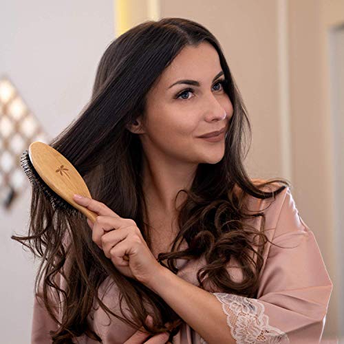Belula Add Volume to Your Hair Set. Detangling Boar Bristle Hair Brush for Long, Curly or Any Type of Hair and Medium 2.4" Boar Bristle Round Brush for Blow Drying Set. Restores Hair's Shine and Ads Volume - Image 5