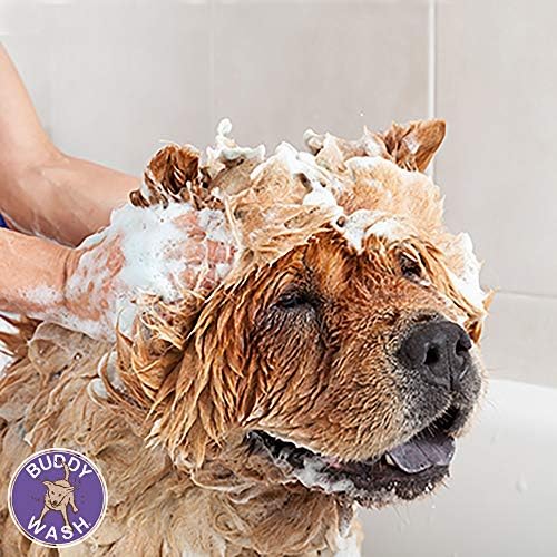 Buddy Wash 2-in-1 Dog Shampoo and Conditioner for Dog Grooming, Green Tea & Bergamot, 16 oz. Bottle - Image 4