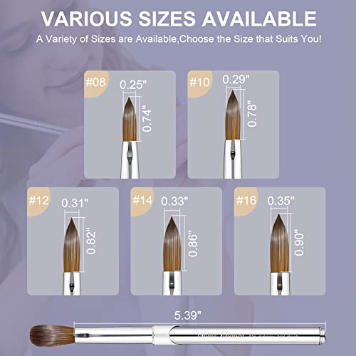 Pure Kolinsky Hair Acrylic Nail Art Brush Size 8 Oval for Flawless Application - Image 4