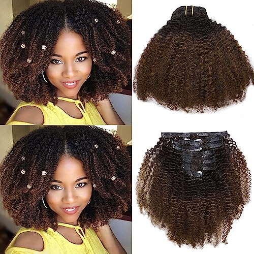 Afro Clip In Hair Extensions Human Hair Kinkys Curly Clip In Hair Extensions 4A 4B Afro Kinky Clip Ins Brazilian Clip In Hair Extensions Human Hair For Black Women Big Volume Dark Brown 18Inch #1b/4
