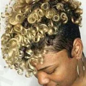 Afro Curly Wig Short Curly Human Hair Wigs,Afro Curly Wigs Short Kinky Curly Wigs for Women Fluffy Short Hair for Daily Use (Color : B)