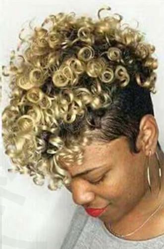 Afro Curly Wig Short Curly Human Hair Wigs,Afro Curly Wigs Short Kinky Curly Wigs for Women Fluffy Short Hair for Daily Use (Color : B)