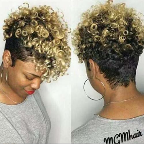 Afro Curly Wig Short Curly Human Hair Wigs,Afro Curly Wigs Short Kinky Curly Wigs for Women Fluffy Short Hair for Daily Use (Color : B) - Image 4