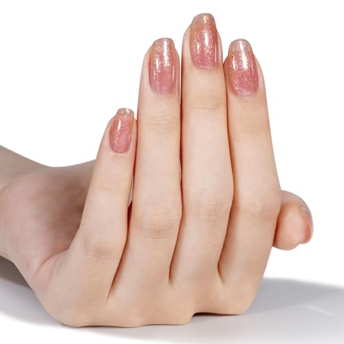 AILLSA Coral Pink Glitter Jelly Gel Nail Polish Holographic Foil Translucent 0.27 Fl Oz GE19 - Image 3