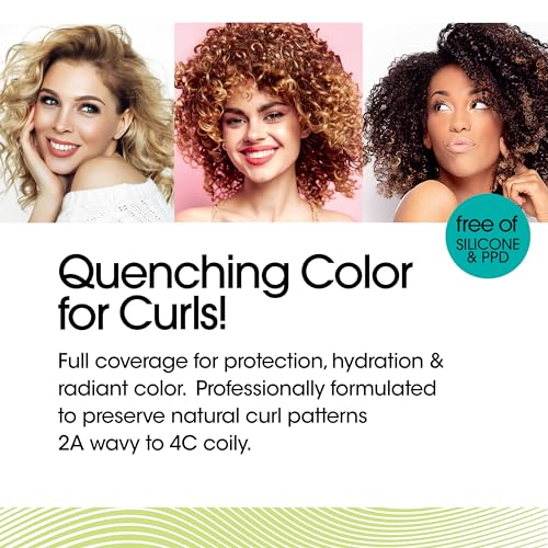 All About Curls 6WB Cinnamon Roll (Medium Blonde - Cool Undertone) Permanent Hair Color (Prep + Protect Serum & Hair Dye for Curly Hair) - 100% Grey Coverage, Nourished & Radiant Curls - Image 2