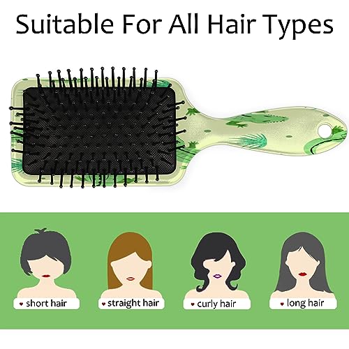 Alligator Wet Hair Brush for Women Men Detangling Travel Brush Glide Through Tangles with Ease Pain-Free Comb for Wet, Curly, Short, Thick, Long Hair and All Hair Types - Image 3
