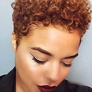 BeiSD Short Afro Kinky Curly Haircuts Short Afro Curly Synthetic Wigs for Black Women African American Women Wigs (YB1091-30#)