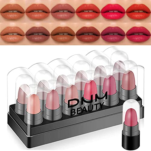BINGBRUSH 12Pcs Mini Capsule Makeup Lipstick Pills Set, Lápiz Labial Rojo Matte Lipstick Lip Stain Set Women Nude Brown Dark Red Matte Matt Lipsticks Cute Lip Stick Purse Set