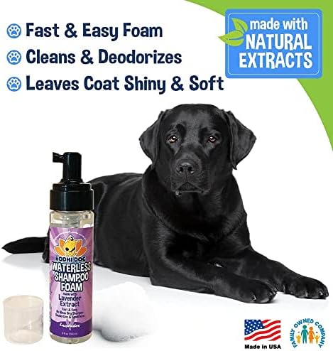 Bodhi Dog Waterless Foaming Shampoo | Natural Pet Shampoo for Dogs & Cats | Waterless Dry Shampoo for Bathless Cleaning | Pet Odor Eliminator | No Rinse Required | Made in USA (Lavender, 8oz) - Image 5