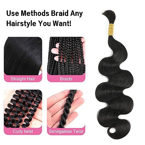 Body Wave Bulk Human Hair for Braiding No Weft Micro Braids Bulk Hair Body Wave Human Hair Braids Extension for Braiding #1B Black Color 24inch (100g (Pack of 2)) - Image 2