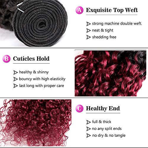 Burgundy Kinky Curly Bundles Human Hair 10 12 14 Inch Unprocessed Brazilian Virgin Hair Two Tone Black Bundles 8A Grade Weave Extensions Hair 1B99J Ombre Burgundy Curly Bundles - Image 3