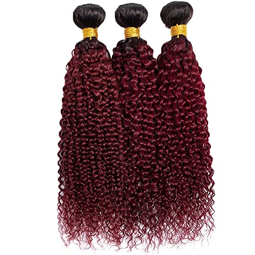 Burgundy Kinky Curly Bundles Human Hair 10 12 14 Inch Unprocessed Brazilian Virgin Hair Two Tone Black Bundles 8A Grade Weave Extensions Hair 1B99J Ombre Burgundy Curly Bundles - Image 4