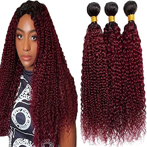 Burgundy Kinky Curly Bundles Human Hair 10 12 14 Inch Unprocessed Brazilian Virgin Hair Two Tone Black Bundles 8A Grade Weave Extensions Hair 1B99J Ombre Burgundy Curly Bundles