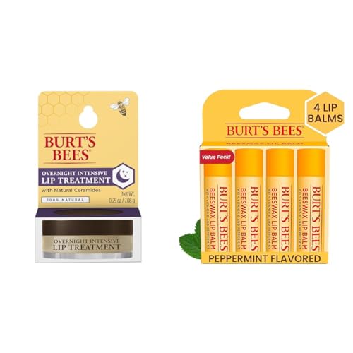 Burt's Bees 0.15 oz Moisturizing Restorative Overnight Lip Balm Treatment