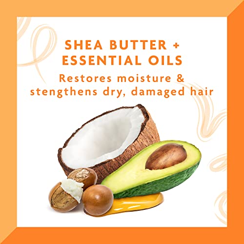 Cantu Deep Treatment Masque with Shea Butter for Natural Hair, 12 oz (Packaging May Vary) - Image 4