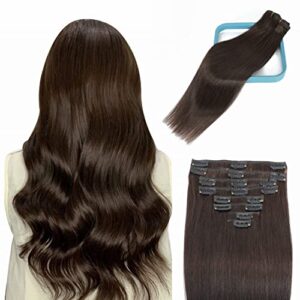 Clip in Hair Extensions Real Human Hair 100g Clip in 100% Human Hair Extensions Straight 8pcs Per Set with 18Clips Double Weft (18 Inch, 2 Dark Brown Color)