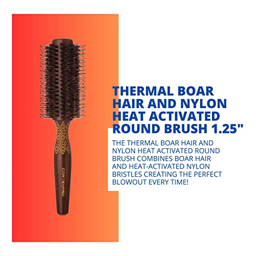 Cortex Beauty 1.25 Inch Round Boar Bristle Brush with Heat-Responsive Nylon Bristles - Image 2