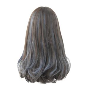 Curly Wig Wavy Wig for Women Long Curly Hair Curly Wig Natural Synthetic Fiber Wig Natural Wave Wigs for Women (Dark Blue, One Size)