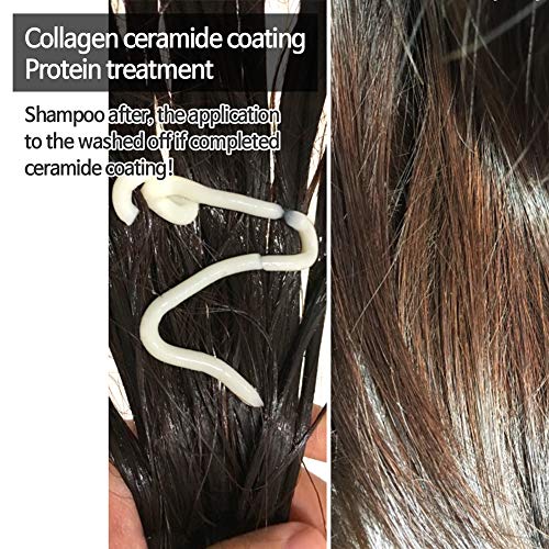 Elizavecca cer-100 collagen coating hair protein treatment 100ml - Image 4
