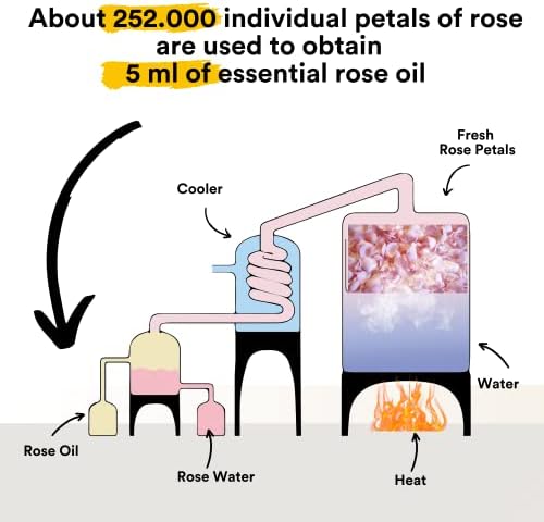Organic Rose Oil Serum for Skin Healing and Aromatherapy 50ml Capacity - Image 9