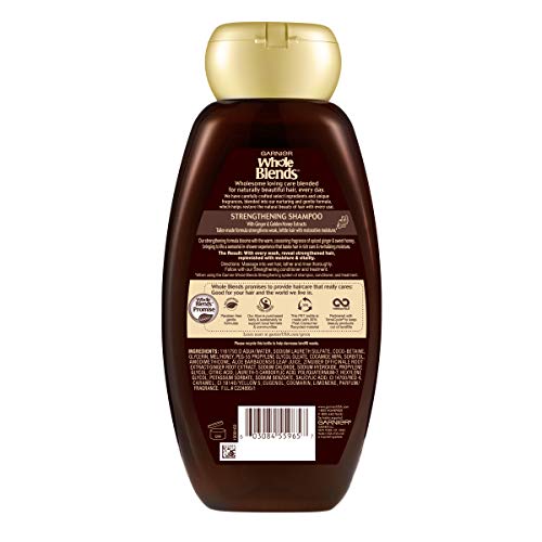 Garnier Hair Care Whole Blends Strengthening Ginger Recovery Shampoo, 12.5 Fluid Ounce - Image 2