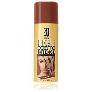 High Ridge Beams Intense Spray-On Hair Color -Brown - 2.7 Oz - Add Temporary Color Highlight to Your Hair Instantly - Great for Streaking, Tipping or Frosting - Washes out Easily (SG_B008W3057A_US)