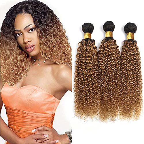 Honey Blonde Human Hair Bundles 1B27 Ombre Bundles Blonde Kinky Curly Human Hair 16 18 20 Inch Brazilian Real Unprocessed Virgin Human Hair Black And Honey Blonde Kinky Curly Human Hair Bundles