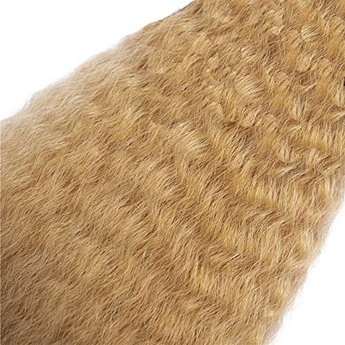 Honey Blonde Kinky Straight 8A Grade Human Hair Bundles 3 Piece Set 10-14 Inch - Image 5