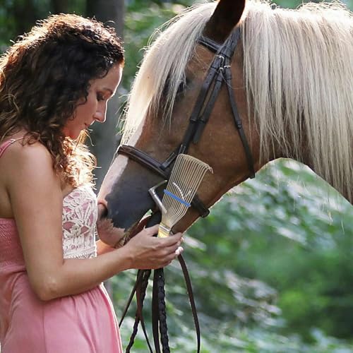 Horse Grooming Brush Steel Horse Shedder Scraper Deshedding Tool Horse Hair Comb Cleaning Brush Dog Rake Horse Tail Brush Massage Tool Pet Hair Removal Brush - Image 3