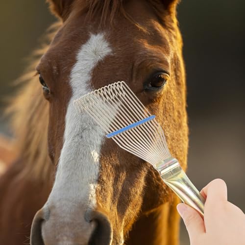 Horse Grooming Brush Steel Horse Shedder Scraper Deshedding Tool Horse Hair Comb Cleaning Brush Dog Rake Horse Tail Brush Massage Tool Pet Hair Removal Brush - Image 5