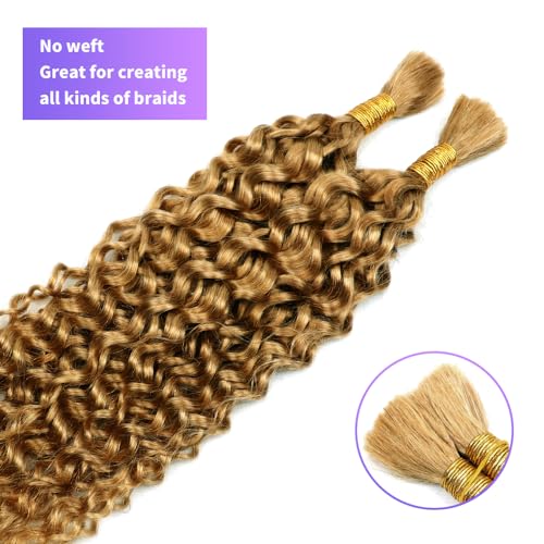 Human Braiding Hair Water Wave Bulk Human Hair For Braiding 100g (1pack-2bundles) No Weft 100% Unprocessed Virgin Human Braiding Hair For Boho Braids Water Wave Micro Braiding Human Hair 18inch #27 - Image 3