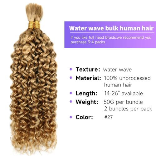 Human Braiding Hair Water Wave Bulk Human Hair For Braiding 100g (1pack-2bundles) No Weft 100% Unprocessed Virgin Human Braiding Hair For Boho Braids Water Wave Micro Braiding Human Hair 18inch #27 - Image 2