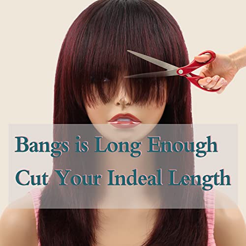 Missmizz Burgundy Long Layered Straight Human Hair Wig for Women Natural Hairline - Image 5