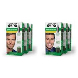Just For Men Shampoo-In Color (Formerly Original Formula), Mens Hair Color with Keratin and Vitamin & Shampoo-In Color (Formerly Original Formula), Mens Hair Color with Keratin and Vitamin E