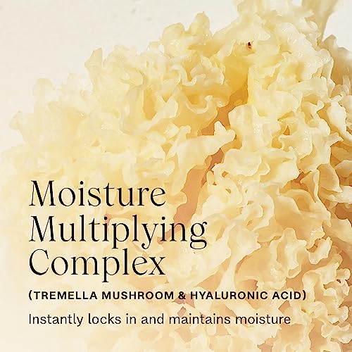JVN Complete Leave-In Conditioning Mist, Frizz Free Hydration Spray, UV Protection, Vegan Formula, Sulfate Free, Travel Size (2 Fl Oz) - Image 9