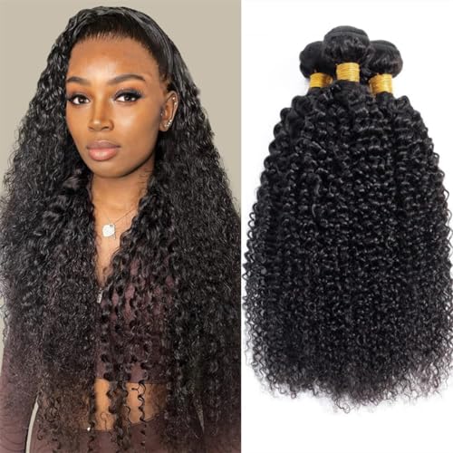 Kinky Culry Bundles Human Hair Bundles Curly Weave 100% Unprocessed Brazilian Virgin Hair Double Weft Kinky Curly Human Hair Bundles Natural Black 3 Bundles Human Hair 300g 10 12 14 Inch