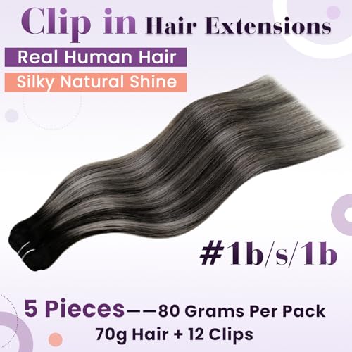 LaaVoo 20 Inch Black Ombre Silver Grey Balayage Straight Human Hair Clip-In Extensions 80g 5pcs - Image 2