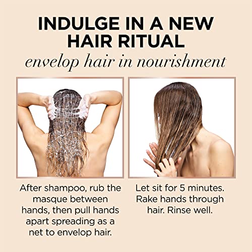 L'Oreal Paris EverPure 12 Oz Hydrating Hair Mask for Dry Hair Care - Image 4