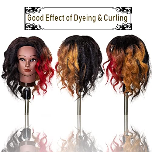 Mannequin Head 100% Real Human Hair,16" Styling Braiding Doll Head,Dyeing Curling Training Head,Hairdresscer Practice Manikin Head - Image 5