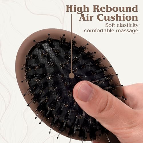 Mini Boar Bristle Hair Brush for Women Kids, Soft Natural Bristles for Thin and Fine Hair, Restore Shine and Texture, Travel Size Wet & Dry Detangler Brush, Brown - Image 6