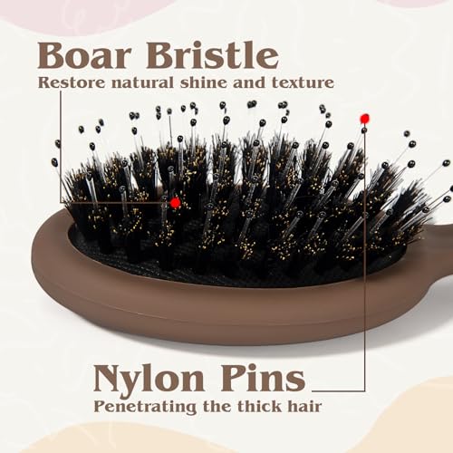 Mini Boar Bristle Hair Brush for Women Kids, Soft Natural Bristles for Thin and Fine Hair, Restore Shine and Texture, Travel Size Wet & Dry Detangler Brush, Brown - Image 4