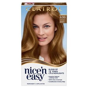 Nice'n Easy [6.5G/114A] Natural Lightest Golden Brown Permanent Hair Color 1 ea