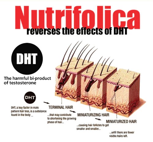 Nutrifolica Hair Loss Treatment & Accelerator - 2 Month Supply - Image 2